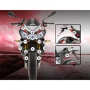 Eazi-Grip Paint Protection Film for Aprilia Tuono V4, gloss or matte