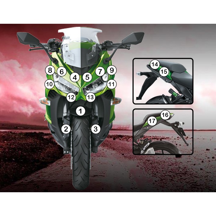 Eazi-Grip Paint Protection Film for Kawasaki Ninja 1000, gloss or matte