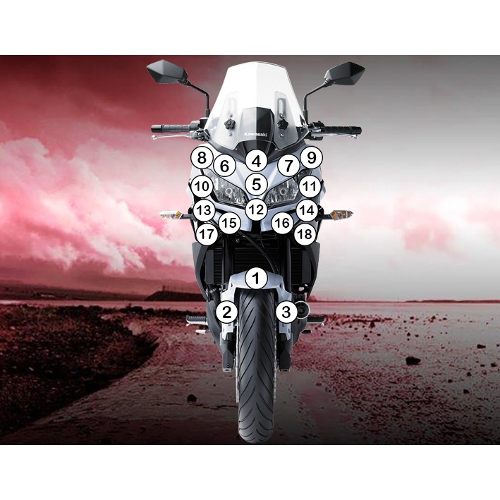 [GUARDKAW009] Eazi-Grip Paint Protection Film for Kawasaki Versys 650, gloss or matte (Gloss)