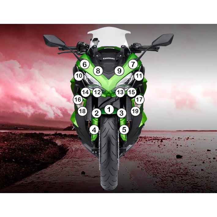 Eazi-Grip Paint Protection Film for Kawasaki Ninja 1000, gloss or matte