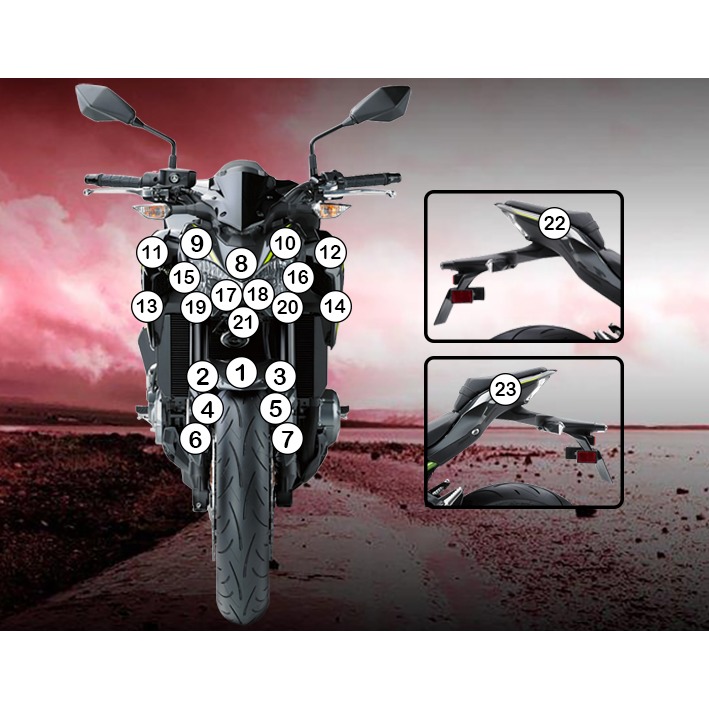 [GUARDKAW014] Eazi-Grip Paint Protection Film for Kawasaki Z900, gloss or matte (Gloss)