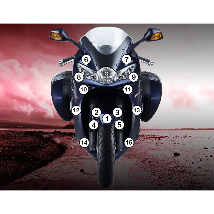 [GUARDTRI002] Eazi-Grip Paint Protection Film for Triumph Sprint GT, gloss or matte (Gloss)