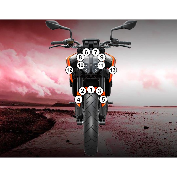 [GUARDKTM005] Eazi-Grip Paint Protection Film for KTM 790 890 Duke, gloss or matte (Gloss)