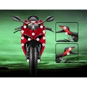 Eazi-Grip Paint Protection Film for Ducati Panigale V2, gloss or matte