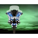 Eazi-Grip Paint Protection Film for BMW R1250RT, gloss or matte