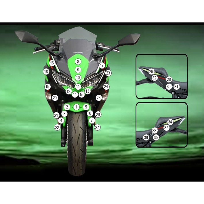 [GUARDKAW030] Eazi-Grip Paint Protection Film for Kawasaki Ninja 650, gloss or matte (Gloss)